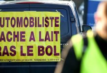 Gilets jaunes: comment prolonger légitimement le mouvement,sans blocus.