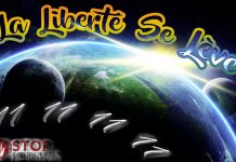 11/11/11/11 “La Liberté se lève” par L. Freeman