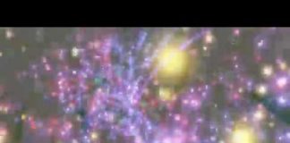 Les Fondateurs : à propos de l’Ego et la psychologie humaine