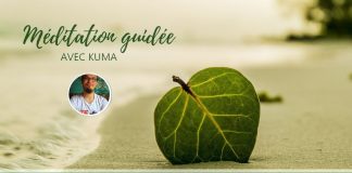 Méditation guidée n°2