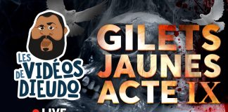 Dieudonné : Gilets jaunes Acte 9