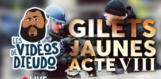 Dieudonné : Gilets jaunes Acte 8 – Le renfort des gitans