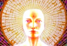 Des scientifiques découvrent des biophotons dans le cerveau qui pourraient laisser entendre que notre conscience est directement liée à la lumière !