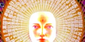 Des scientifiques découvrent des biophotons dans le cerveau qui pourraient laisser entendre que notre conscience est directement liée à la lumière !