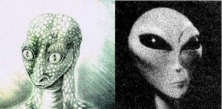 Sphères spirituelles et universalité de l’esprit. Infiltration extraterrestre dans la sphère planétaire au temps de l’Apocalypse et possessions spirituelles.