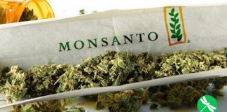 Touche pas à mon Herbe !