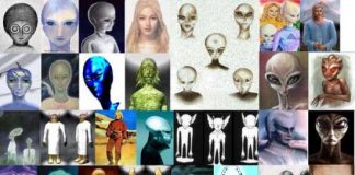 Rapport sur les motivations et les activités des races extraterrestres – Une typologie des races extraterrestres les plus importantes en interaction avec l’humanité (Michael SALLA)