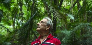 En 40 ans, ce Brésilien a reboisé 31 hectares de la forêt tropicale en replantant 50.000 graines