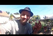 Commencer l’autosuffisance par la fin