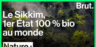 Là bas, l’utilisation de pesticides vous mène tout droit en prison… en Europe on vous subventionne pour les répandre