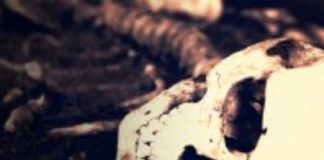 Squelettes des dieux – Enseignements de la Sagesse S2: Ep6