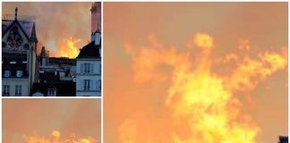 SAUVONS LA CATHÉDRALE DU CŒUR – Pour un autre usage de Notre-Dame-de-Paris