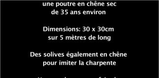 Attentat Notre Dame: première Preuve du Bobard Officiel