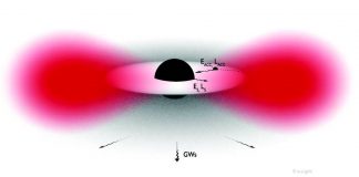 Les trous noirs décrits comme des atomes gravitationnels