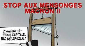 C’est officiel: il n’ y a plus de constitution et de fait, Macron n ‘est pas président !