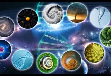 L’Univers est holographique : Principe des fractales