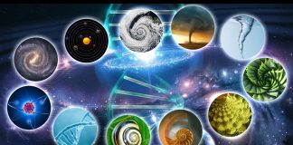 L’Univers est holographique : Principe des fractales