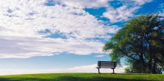 L’Éveil au Cœur de Ce qui Est ❤ (avec Pierre Leré Guillemet )