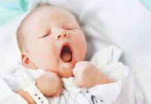 Acte I: Histoire d’une naissance