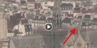 Images de la mise à feu de Notre Dame pointant vers l’acte criminel