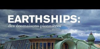 Earthships : des écomaisons pionnières