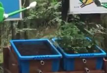 Super vidéo qui montre le lien entre déforestation et inondations !