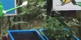 Super vidéo qui montre le lien entre déforestation et inondations !