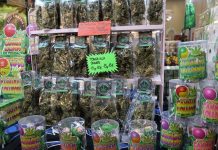 En Italie, le cannabis light provoque la chute des ventes de médicaments et des revenus de la mafia