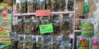 En Italie, le cannabis light provoque la chute des ventes de médicaments et des revenus de la mafia