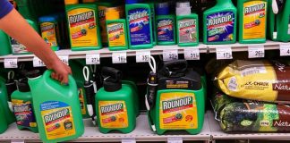 Monsanto condamné à verser 2 milliards de dollars à un couple de retraités