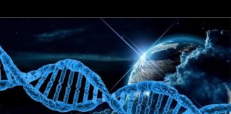 L’Histoire de la Terre – par les Pléiadiens