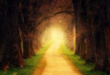 Le jour où ma vie à commencé à changer – Par Laurent