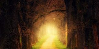 Le jour où ma vie à commencé à changer – Par Laurent