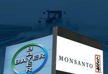 Dernières nouvelles : Le titre Bayer a perdu près de 50 % de sa valeur depuis la fusion avec Monsanto