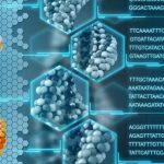 1606ca 3b9c40d23df14abebbb107142d3350fc mv2