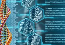 Les scientifiques prouvent que l’ADN peut être reprogrammé par nos propres mots