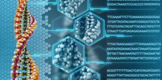 Les scientifiques prouvent que l’ADN peut être reprogrammé par nos propres mots