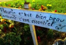 Nuit verte des G. Jaunes – L’alimentation : Un Droit Humain Fondamental