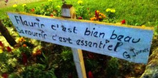 Nuit verte des G. Jaunes – L’alimentation : Un Droit Humain Fondamental