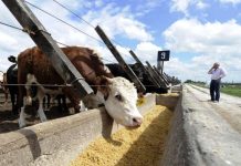 Quelques chiffres à méditer