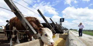 Quelques chiffres à méditer