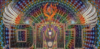 Un composé psychédélique ‘mystique’ (la DMT) que l’on trouve dans les cerveaux normaux