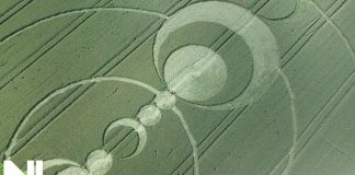 Crop Circle de St Hyppolite