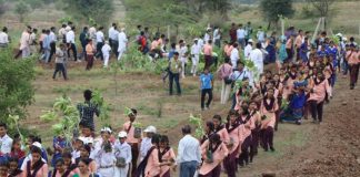 L’Inde pulvérise le record mondial de reforestation : 66 millions d’arbres plantés !