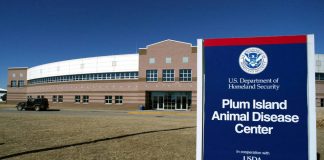 Maladie de Lyme : une expérimentation secrète du Pentagone qui aurait dérapé ?