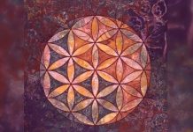 Opération Fleur de Vie