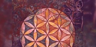 Opération Fleur de Vie