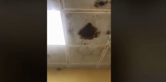 Gilets Jaunes en Guadeloupe: Une femme expose la vétusté de son centre hospitalier