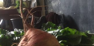 Epstein en prison. Revue de presse de la semaine.