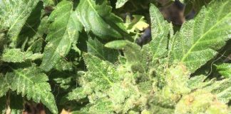 Retour sur la semaine